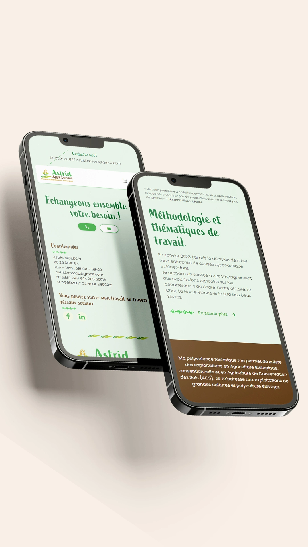 Site web mobile Astrid Agri Conseil - Site virine - Eclipse Digital