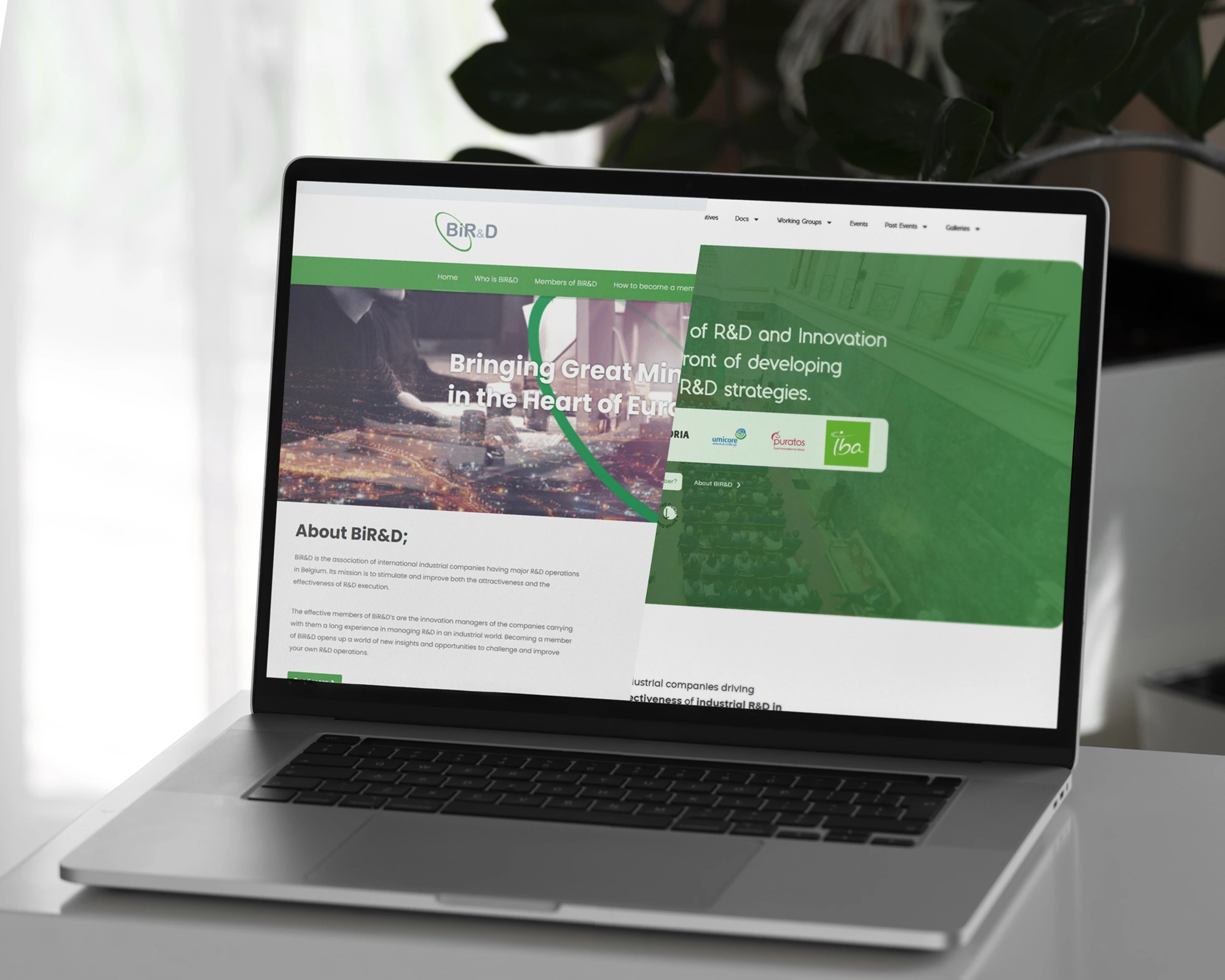 Site web vitrine BiRD - Eclipse Digital