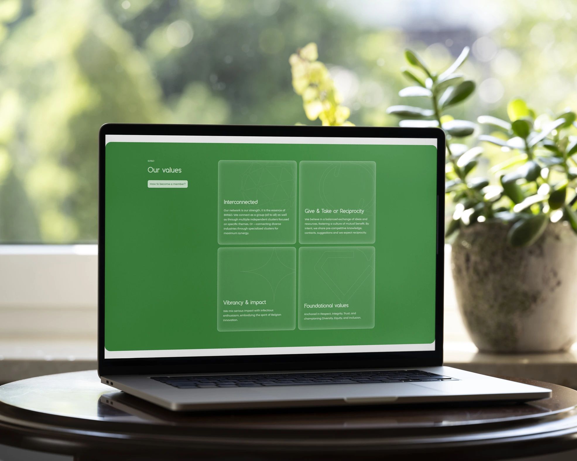 Site web vitirine BiRD 2 - Eclipse Digital
